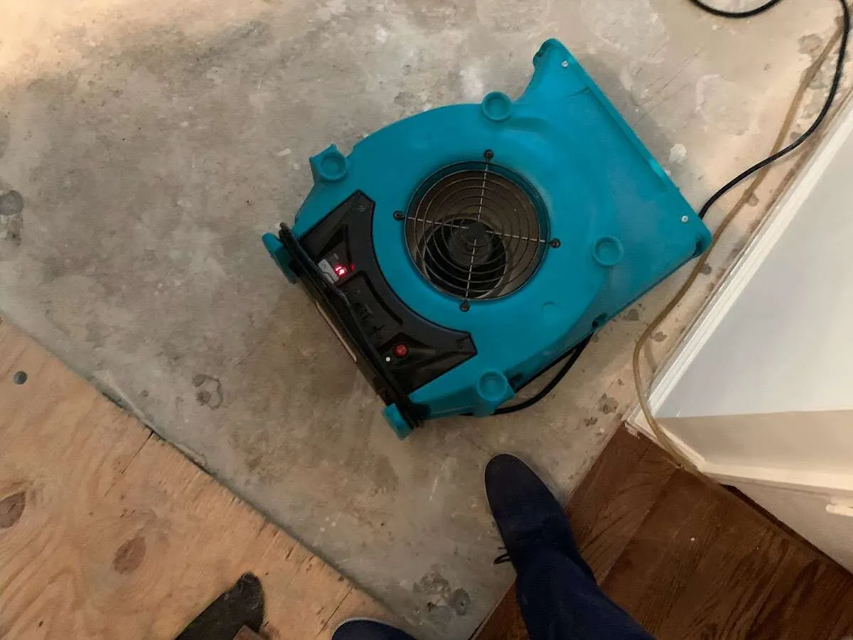 Air mover drying subfloor during Leak Detection & Repair in Scranton